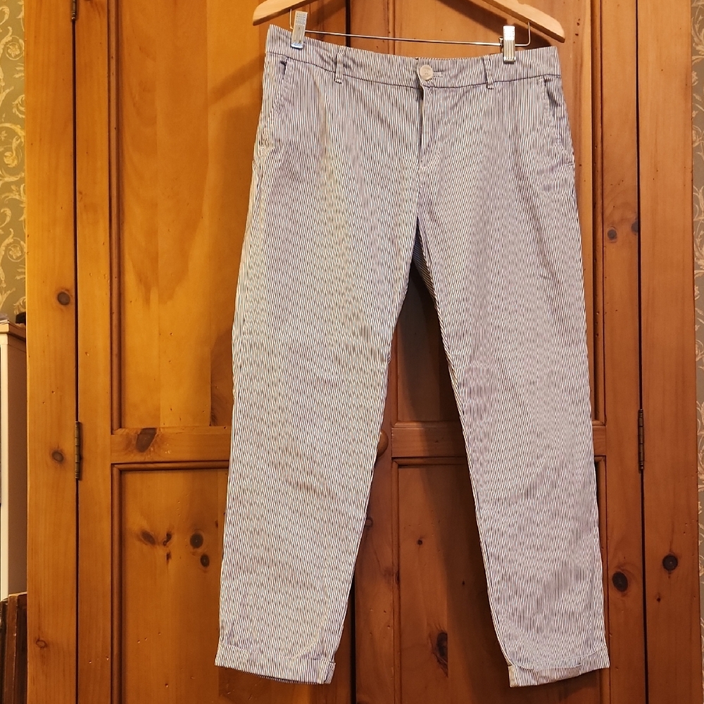 Tommy Hilfiger Blue Striped Women's Pants